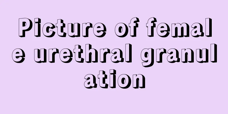 Picture of female urethral granulation