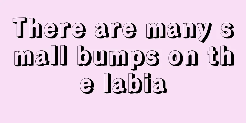 There are many small bumps on the labia