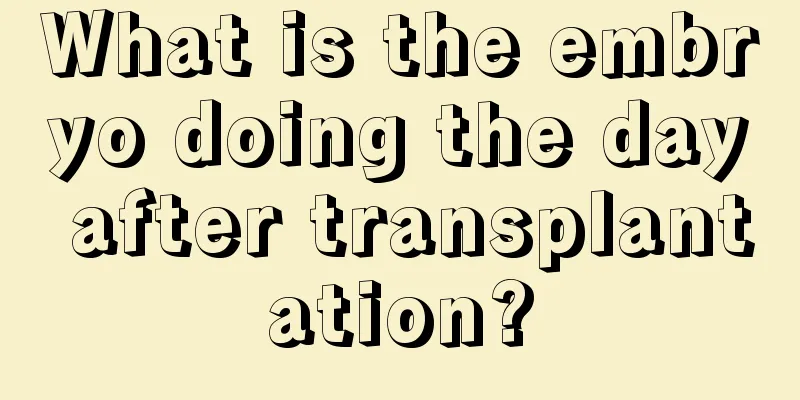 What is the embryo doing the day after transplantation?