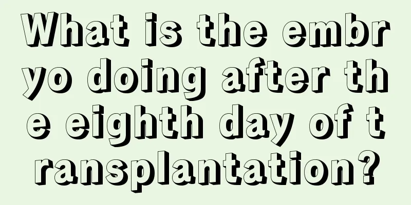 What is the embryo doing after the eighth day of transplantation?