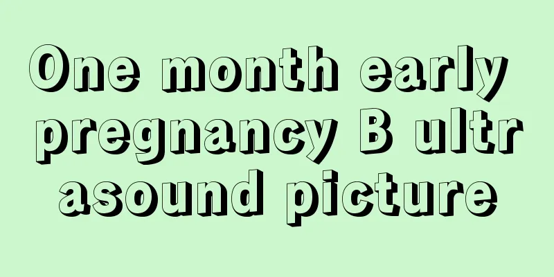 One month early pregnancy B ultrasound picture