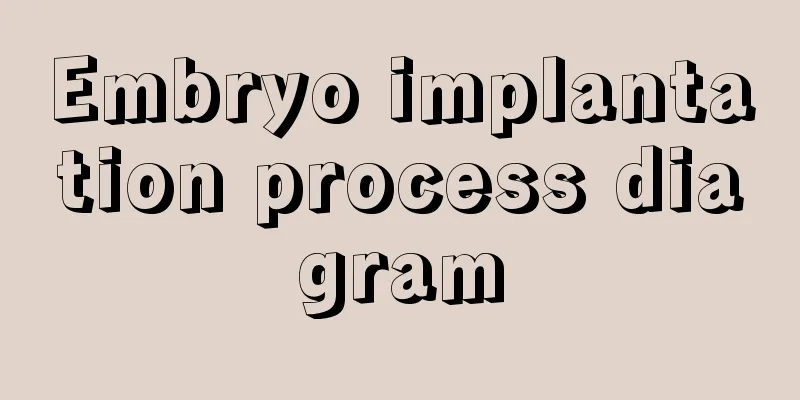 Embryo implantation process diagram