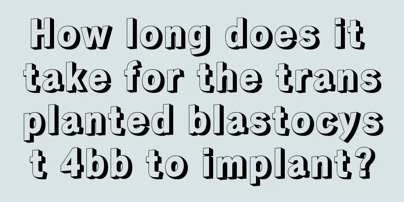 How long does it take for the transplanted blastocyst 4bb to implant?