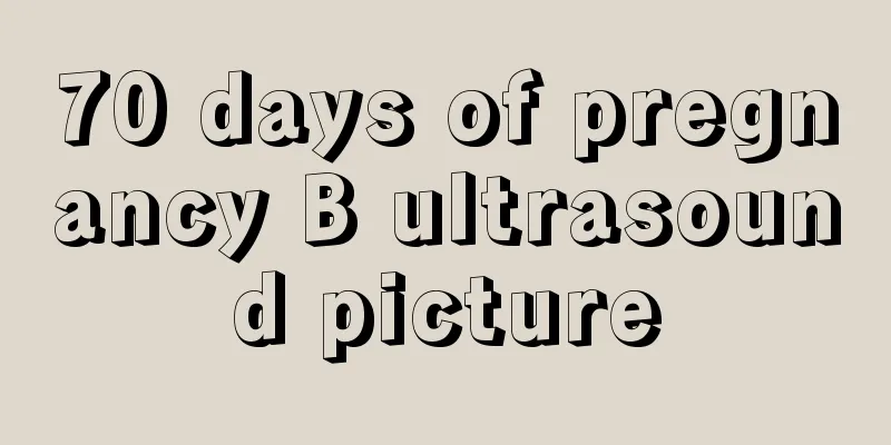 70 days of pregnancy B ultrasound picture