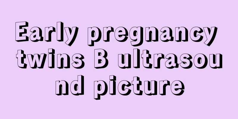 Early pregnancy twins B ultrasound picture