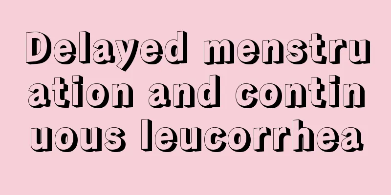 Delayed menstruation and continuous leucorrhea