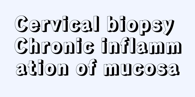 Cervical biopsy Chronic inflammation of mucosa