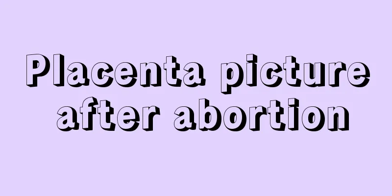 Placenta picture after abortion