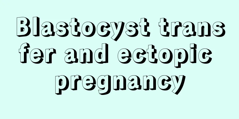 Blastocyst transfer and ectopic pregnancy