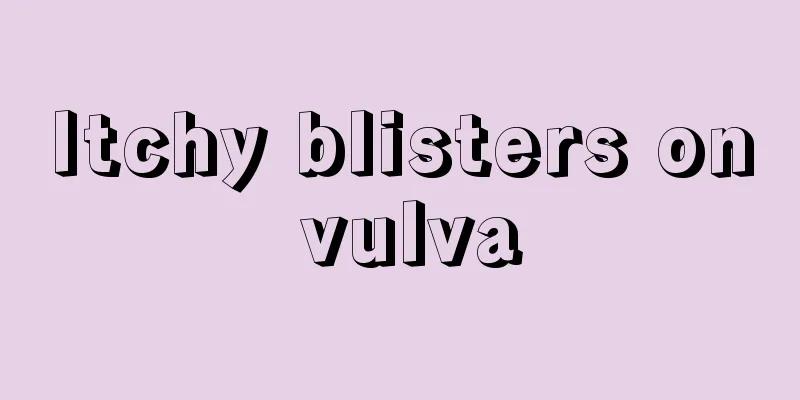 Itchy blisters on vulva