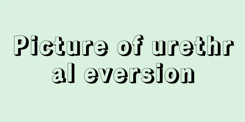 Picture of urethral eversion