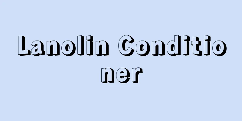 Lanolin Conditioner