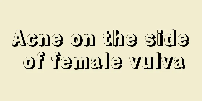 Acne on the side of female vulva