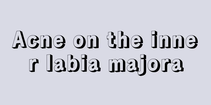 Acne on the inner labia majora