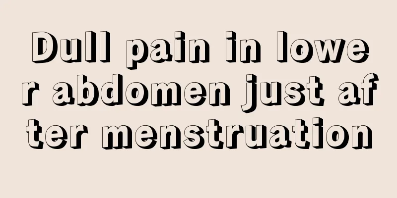 Dull pain in lower abdomen just after menstruation