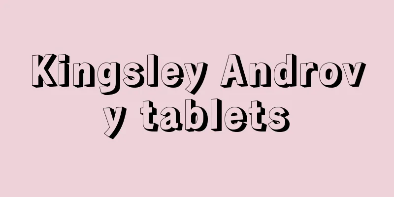 Kingsley Androvy tablets