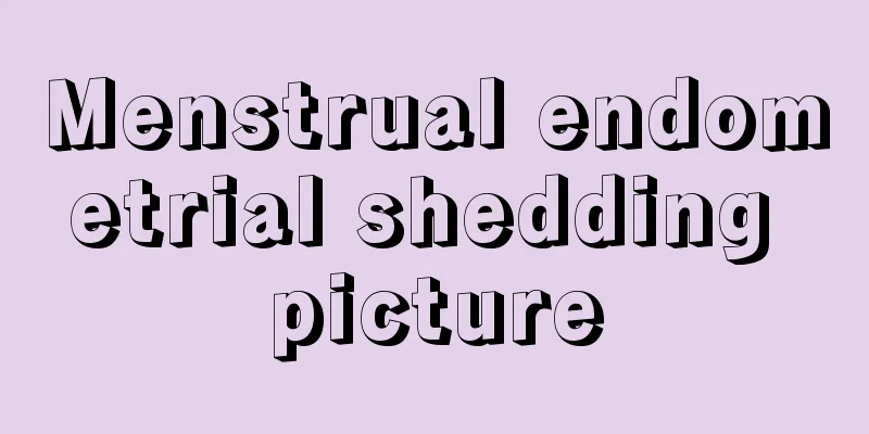 Menstrual endometrial shedding picture