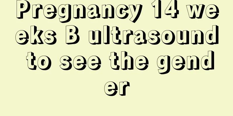 Pregnancy 14 weeks B ultrasound to see the gender