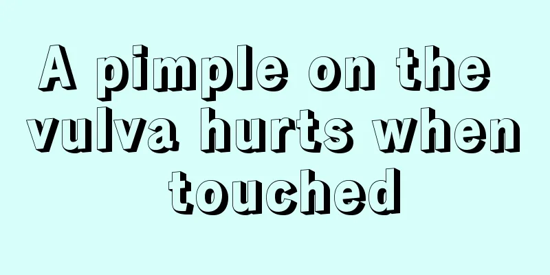 A pimple on the vulva hurts when touched