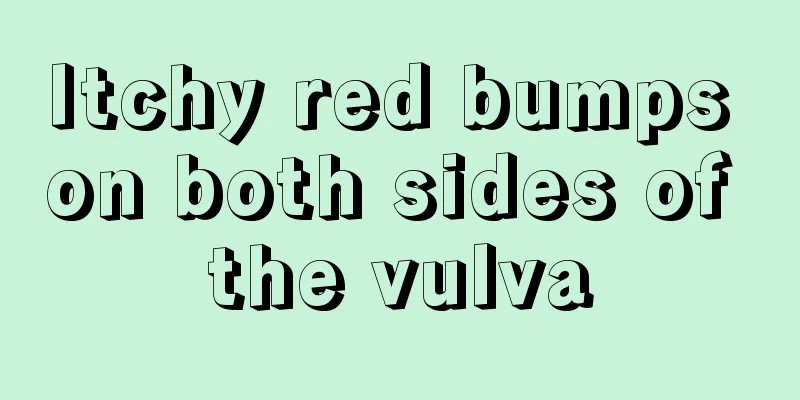 Itchy red bumps on both sides of the vulva