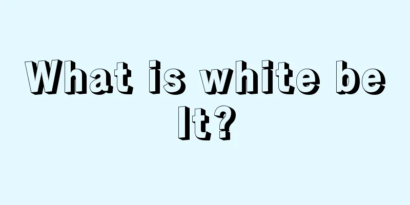 What is white belt?