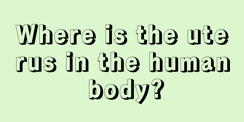 Where is the uterus in the human body?