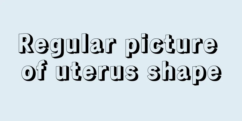 Regular picture of uterus shape