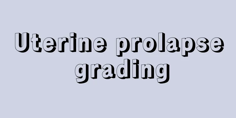 Uterine prolapse grading