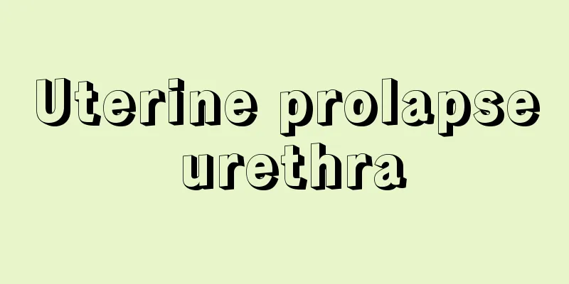 Uterine prolapse urethra