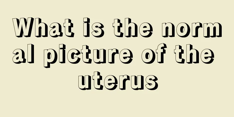 What is the normal picture of the uterus