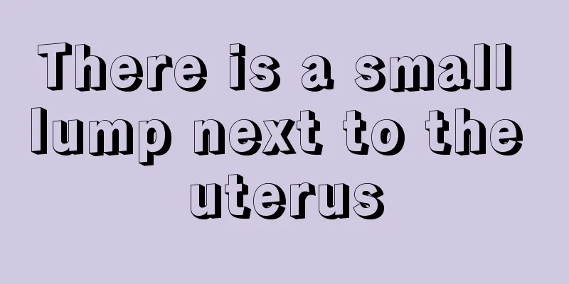 There is a small lump next to the uterus