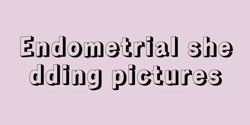 Endometrial shedding pictures