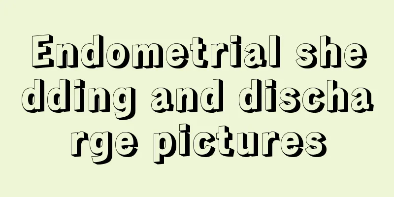 Endometrial shedding and discharge pictures