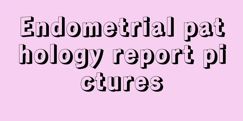 Endometrial pathology report pictures