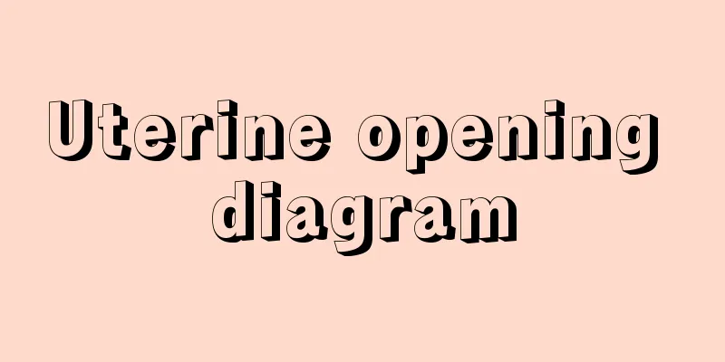 Uterine opening diagram