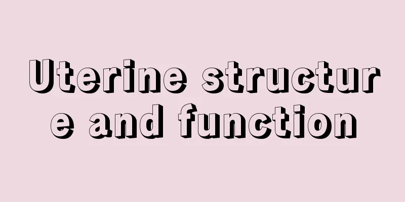 Uterine structure and function