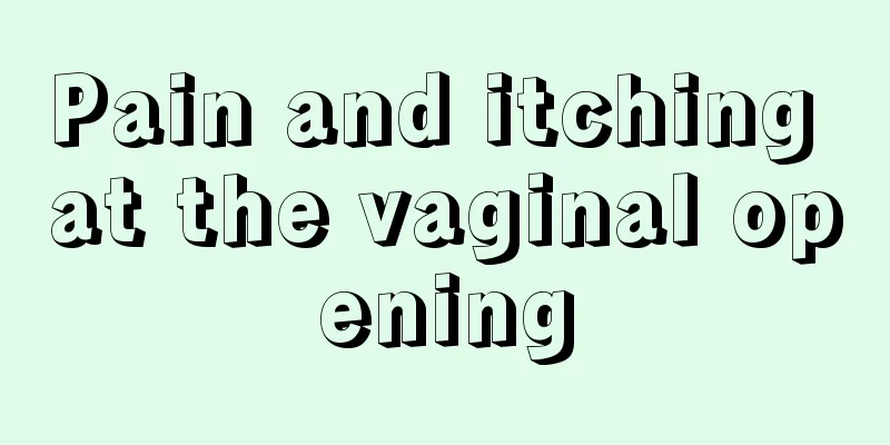 Pain and itching at the vaginal opening