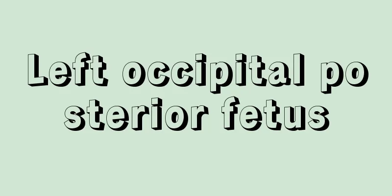 Left occipital posterior fetus