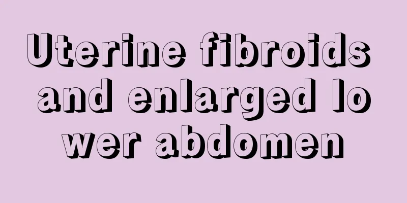 Uterine fibroids and enlarged lower abdomen