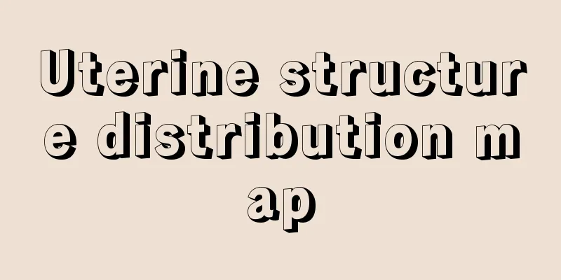 Uterine structure distribution map