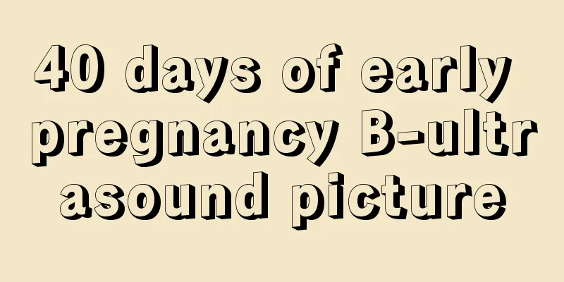 40 days of early pregnancy B-ultrasound picture