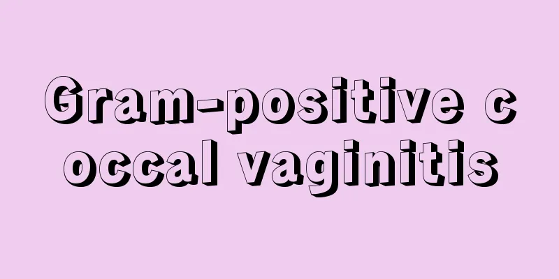 Gram-positive coccal vaginitis