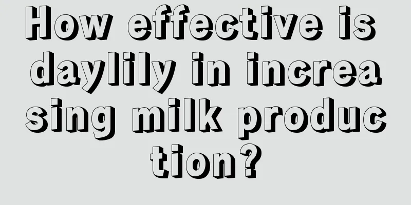 How effective is daylily in increasing milk production?