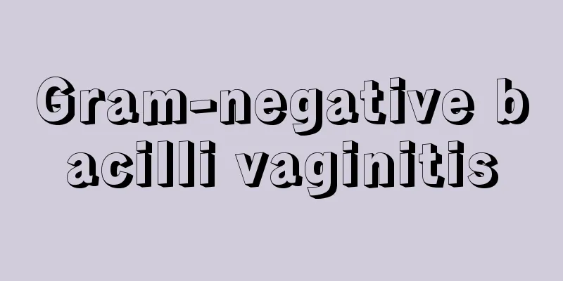 Gram-negative bacilli vaginitis