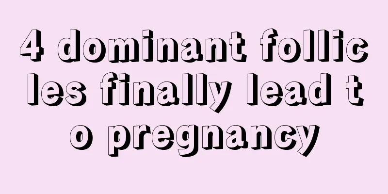 4 dominant follicles finally lead to pregnancy