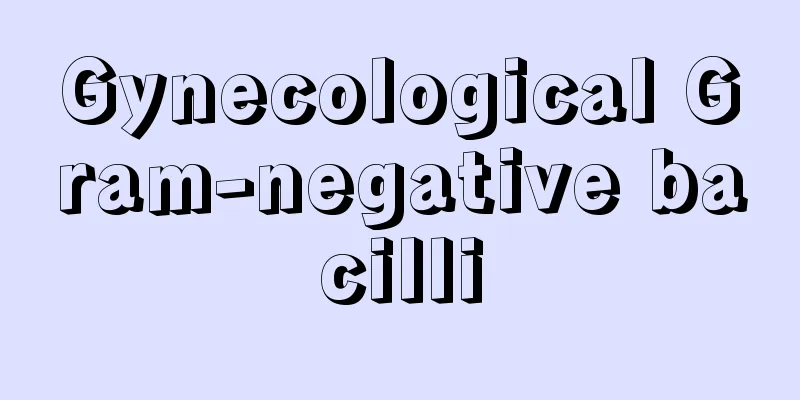 Gynecological Gram-negative bacilli