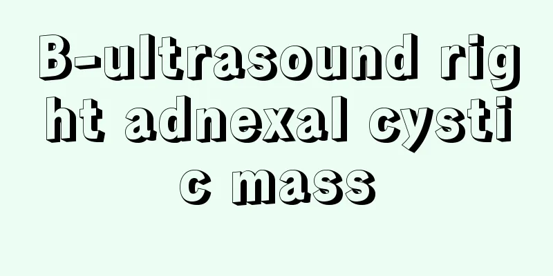 B-ultrasound right adnexal cystic mass