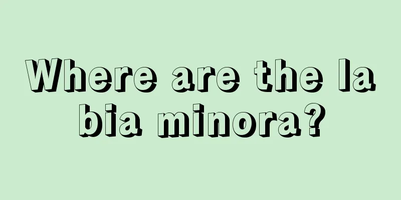 Where are the labia minora?