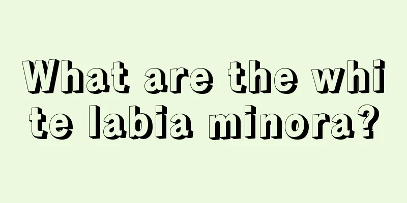 What are the white labia minora?