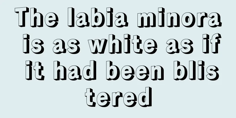 The labia minora is as white as if it had been blistered